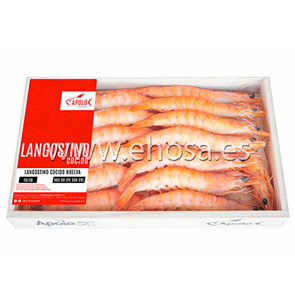 Langostino Cocido Huelva 20/30 Apolo