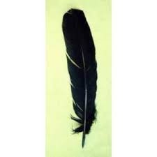 PLUMA DE RITUAL