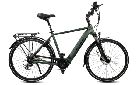 MS ENERGY eBike c501