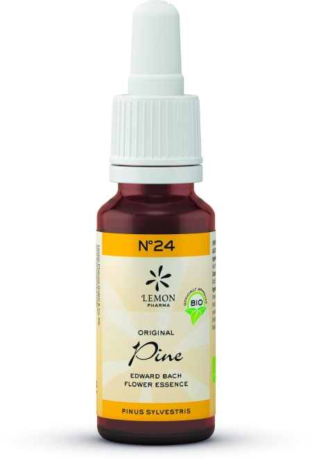 Nº 24 Pine – Pino