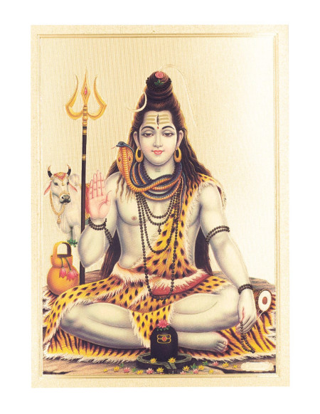 Lamina Pegatina Shiva - TLD0054