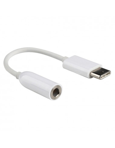 Cable USB 3.1 Tipo C a Mini Jack