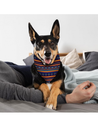 Bandana para perros Estampado Étnico Marino