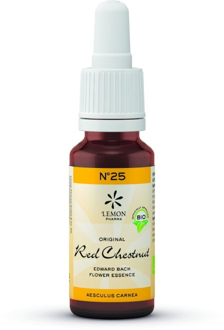 Nº 25 Red Chestnut - Castaño Rojo