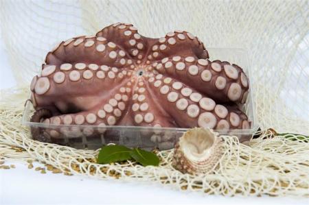 Pulpo Moyseafood Flor F0 3/4 Kg 10Kg Ap