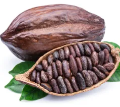 Proveedores de Cacao en Asturias