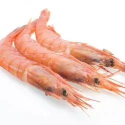 Proveedores de Gambas Frescas en Zaragoza