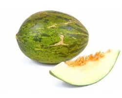 Importadores de Melones