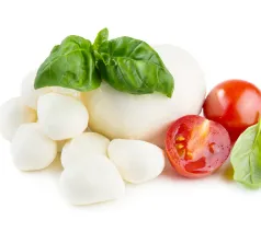 Distribuidores mayoristas de Mozzarella