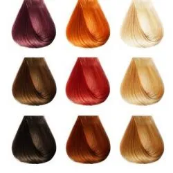 Proveedores de Tintes para el Cabello