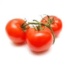 Proveedores de Tomates